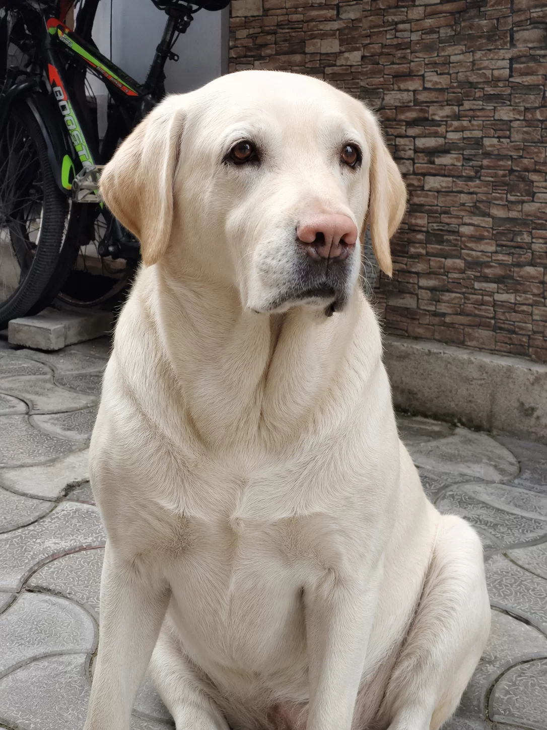 Sandi